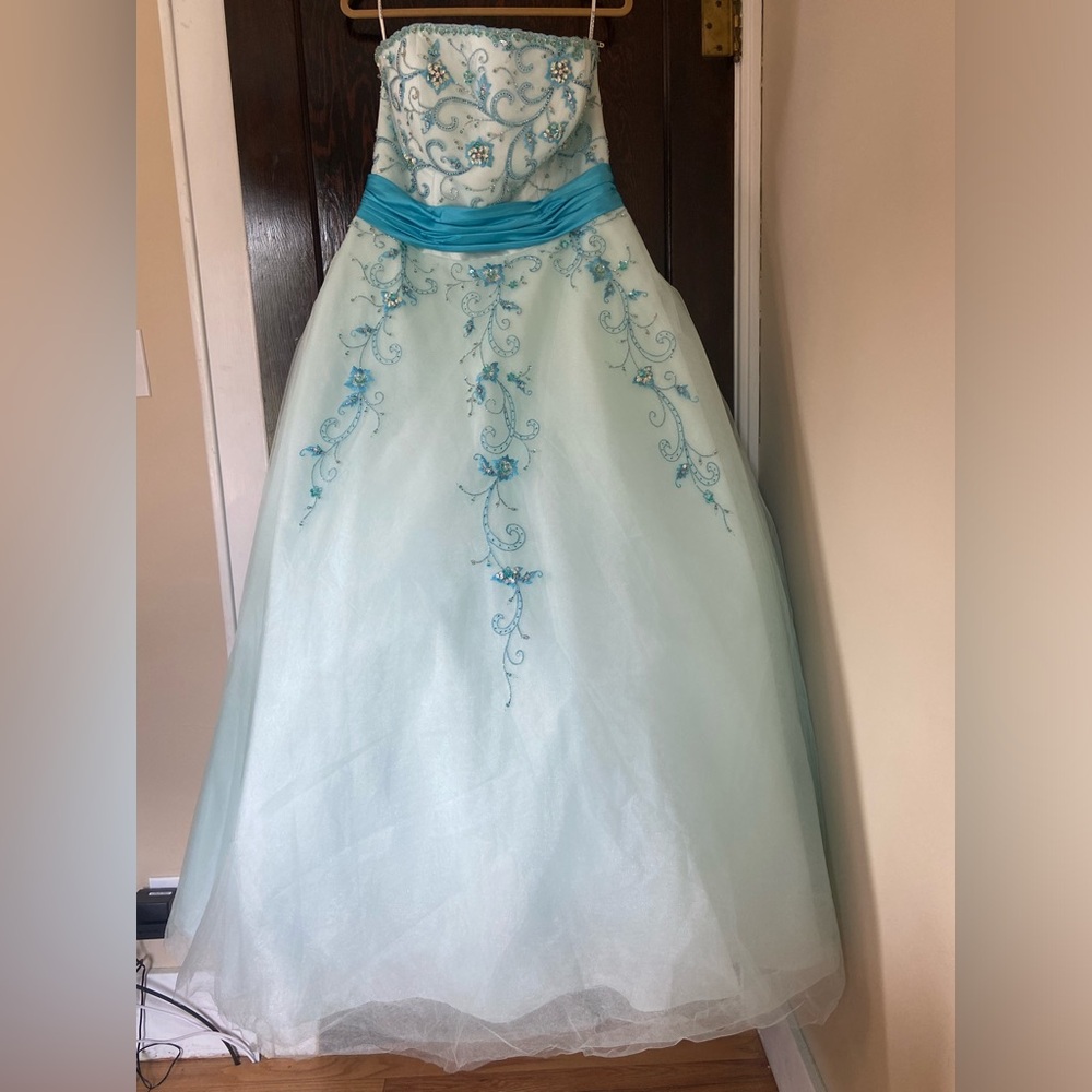 FREE SHIP 🎁 Strapless Embroidered Ballgown sz 22